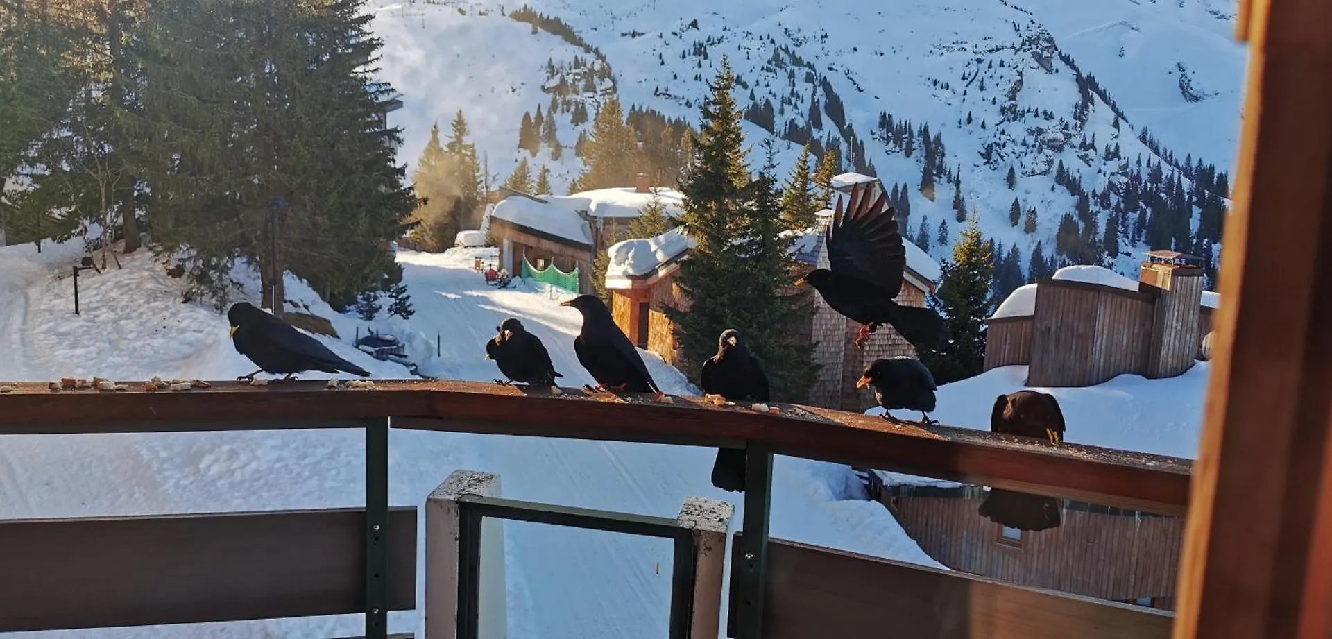 Tres Bel Appartement Avoriaz Ideal 5 Pers 아파트